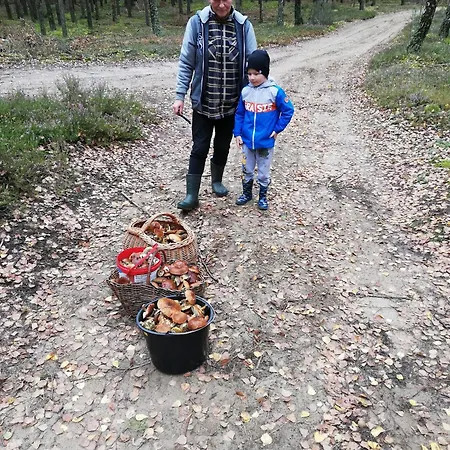 Zacisze Kurpiowskie U Janusza * Zalas